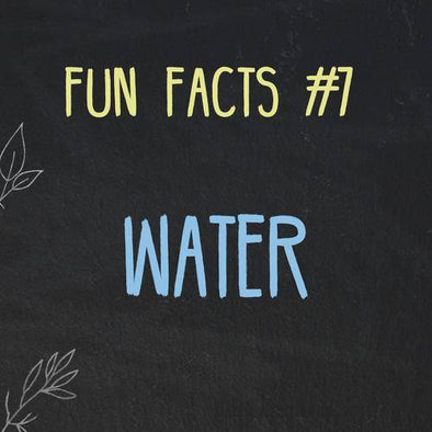Fun Facts about Water