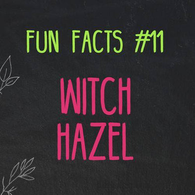 Fun Facts about Witch Hazel