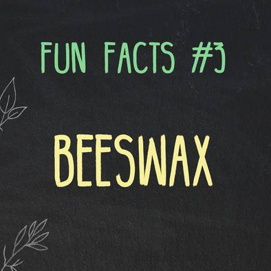 Fun Facts about Beeswax